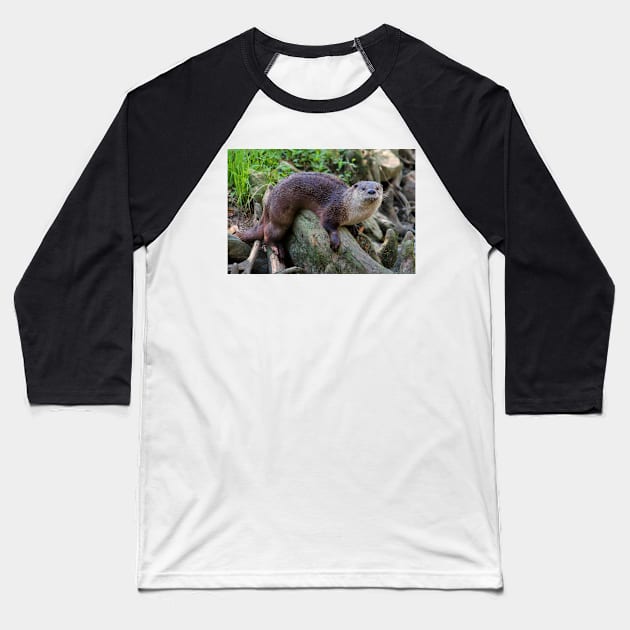 River Otter On A Log Baseball T-Shirt by Cynthia48